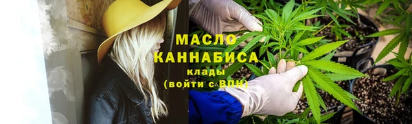 гидра Заволжск