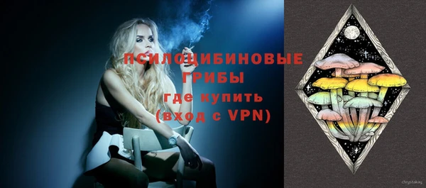 гидра Заволжск