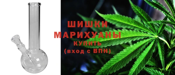 шишки Заволжье