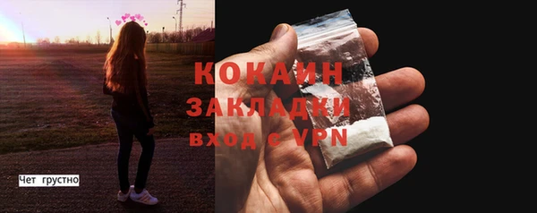 шишки Заволжье