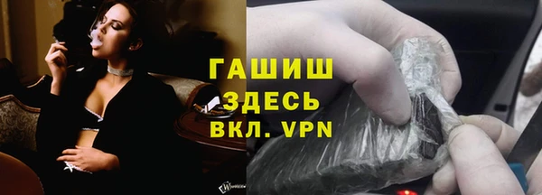 шишки Заволжье