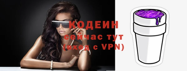 шишки Заволжье