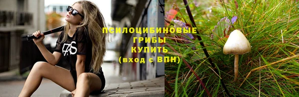 ГАЛЛЮЦИНОГЕННЫЕ ГРИБЫ Инта