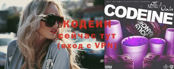 шишки Заволжье