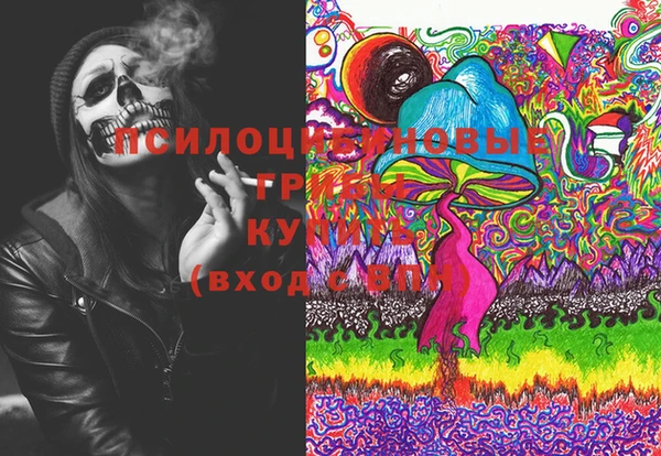 дмт Заводоуковск